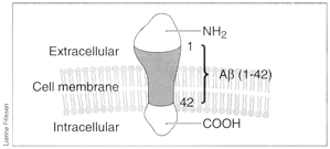 Figure2