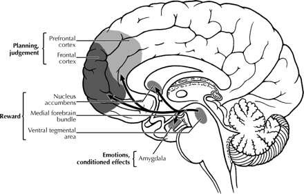 Figure2