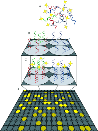 Figure2