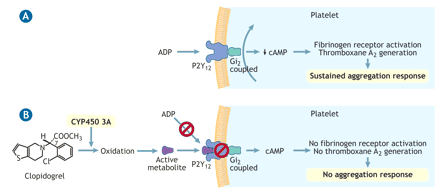 Figure1