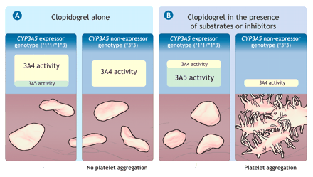 Figure2