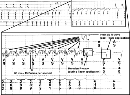 Figure3