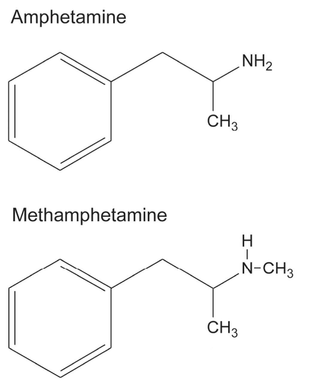 pharmacologic-mechanisms-of-crystal-meth-cmaj