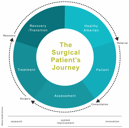Infographic of the surgical patient's journey, which serves as a central framework for the Surgical Strategic Clinical Network.