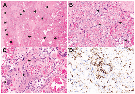 Figure 1: