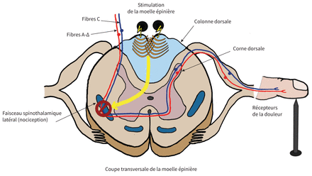 Figure 1: