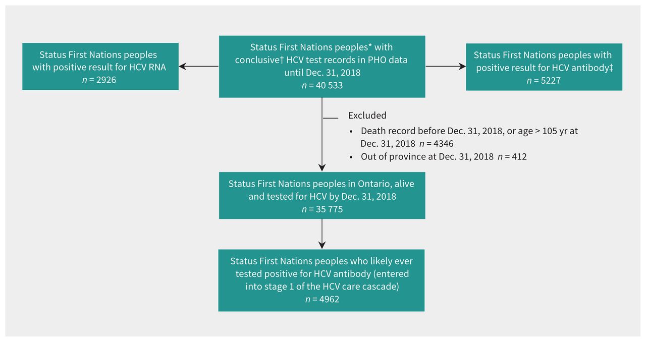 Characterizing the cascade of care for hepatitis C virus infection among  Status First Nations peoples in Ontario: a retrospective cohort study