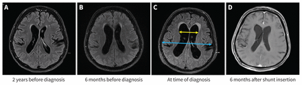 Figure 1: