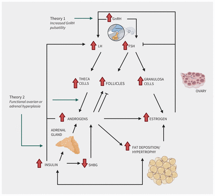 Figure 2: